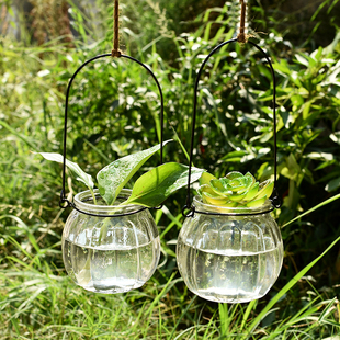 悬挂式透明玻璃花瓶 小南瓜吊瓶 简约水培花器室内园艺家居装饰瓶