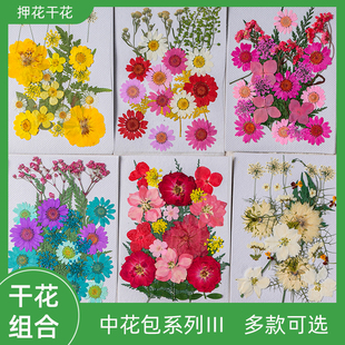 脸部装饰干花diy材料多款混合压花儿童手工真花植物标本影楼写真