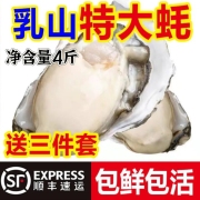 乳山生蚝鲜活新鲜海蛎子特大海鲜牡蛎肉水产5斤