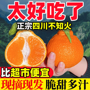 10斤四川不知火丑橘正宗桔子耙耙当季新鲜时令水果柑橘整箱