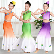 儿童傣族舞蹈服装练功裙鱼尾裙幼儿园傣族演出服少女孔雀舞艺考服