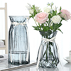 二件套大号简约玻璃花瓶，透明彩色水培植物，富贵竹干花插花摆件