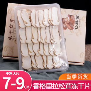 新鲜冻干松茸片7-9cm云南特产香格里拉松茸菌，干货菌菇冻干松茸片