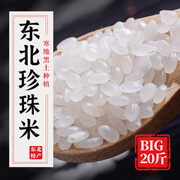 大米20斤家庭装新米圆粒珍珠米粳米秋田小町餐饮东北大米10kg