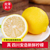四川安岳黄柠檬新鲜水果1斤装当季水果商用香水榨汁奶茶店专用