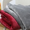 夏季毛毯法兰绒加厚珊瑚绒空调被猫咪毯子家用毯膝盖毯2024新