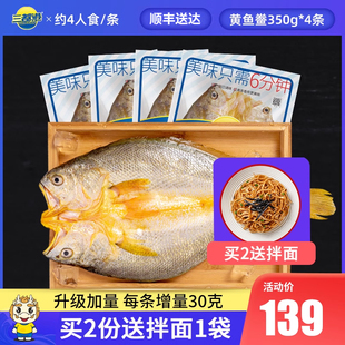 三都港黄鱼鲞黄花鱼大黄鱼生鲜海鲜冷冻水产免杀免洗350g*4条