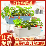 家庭阳台种菜盆长方形室内盆栽种植蔬菜神器花箱塑料吸水草莓花盆