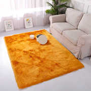 客厅地毯茶几垫长毛绒门厅大地毯房间大地毯满铺北欧风卧室地毯衣