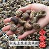 小香菇 椴木香菇干货含小花菇嫩仔农家自产厚肉香茹 非东北野生菌