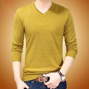 休闲秋装长袖t恤男士，纯色v领青年套头，薄款打底衫休闲羊毛针织线衫