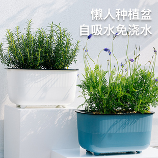 阳台种菜盆神器懒人自动吸水花盆长方形花槽家庭种植箱塑料种菜箱