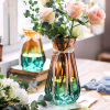 花瓶玻璃透明客厅插花北欧装饰富贵竹现代简约干花瓶子水养绿萝大