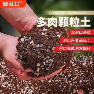多肉土专用颗粒营养土植物泥炭种植土铺面石叶插纯土壤矿物通用