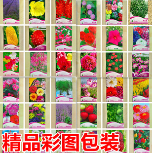 彩袋原包装花卉种子彩色包装精美送礼印图说明书植物小包装花种籽