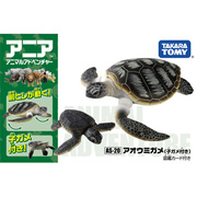 日本正版散货 拟真海洋动物玩具 大海龟和小海龟 海龟母子 细致