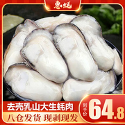 新鲜生蚝肉600g现剥速冻，乳山海蛎子鲜活海鲜，水产冷冻去壳牡蛎肉