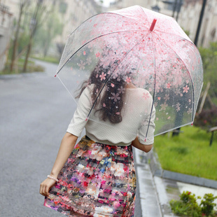 高档日本樱花伞韩国透明雨伞折叠小学生，公主儿童女孩拱形小清新长