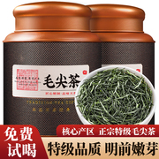 毛尖茶叶2024新茶明前特级浓香型绿茶茶叶罐装500g