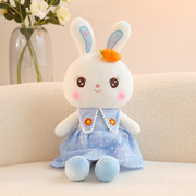 甜心穿裙子小兔子公仔布娃娃可爱抱枕，儿童胡萝卜兔毛绒玩具女男孩