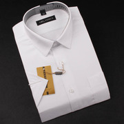 conch海螺衬衫纯棉白色，商务职业装合体半袖正装男士短袖衬衣