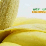 冻干香蕉粉烘焙原料，香蕉奶昔奶茶水果粉，2斤香蕉粉袋装
