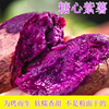 沙地糖心紫薯蜜薯烤紫薯软糯流油，蜜甜番薯山芋，紫皮紫心新鲜农家自