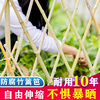 竹篱笆栅栏围栏植物爬藤花架庭院花园菜园竹子，护栏户外伸缩竹围墙