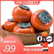 U先直播福利9.9元武夷红茶正山小种蜜香型精美柿柿如意罐