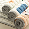 牛奶绒毛毯床垫秋冬家用床单加厚冬季珊瑚绒毯床毯法兰绒毯子铺床