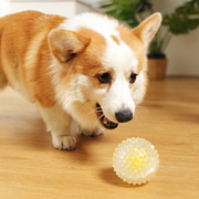 狗狗玩具宠物小狗幼犬橡胶球耐咬磨牙解闷玩具大型小型犬泰迪用品