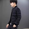 短款金丝绒羽绒棉服男冬季u韩版修身潮流加厚立领，休闲棉袄外
