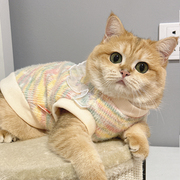 公主风猫咪专用小衣服，冬季保暖美短虎斑橘猫金渐层幼猫毛衣针织衫