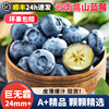 云南高山蓝莓鲜果特大新鲜水果礼盒应当季整箱，现摘5斤超爆甜