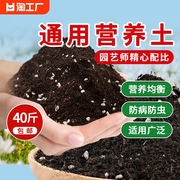 营养土养花专用通用型盆栽，多肉育苗种菜花土，种花泥土壤种植土发酵
