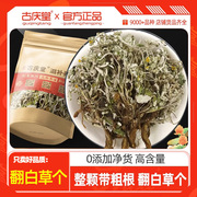 翻白草个子中药材500g克 野生翻白草整颗带根搭地骨皮番白草泡茶