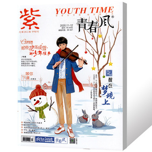 阅读青春风杂志2020年11-12月合刊青春校园言情励志文摘期刊