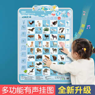 有声早教挂图神器启蒙识图认知幼儿童拼音字母表贴墙宝宝发声玩具