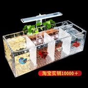 斗鱼缸繁殖孵化隔离盒免换水桌面小型亚克力生态，创意专业用组排缸