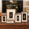 天然贝壳海螺标本，挂画手工艺品摆件相框diy制作家居创意装饰制品