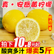四川安岳黄柠檬(黄柠檬，)5斤新鲜水果奶茶店，专用皮薄一级香水酸柠檬青百香