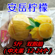 四川安岳柠檬新鲜水果双胞胎5斤装中大果12-24个安岳果园直发