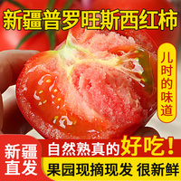 新疆普罗旺斯沙瓤生吃番茄西红柿