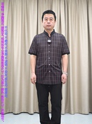 短袖T恤男 纯桑蚕丝 蓝色格子 普洛克24夏 商务立领针织衫