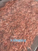 青岛特产凤尾烤虾熟虾干去皮虾仁带虾尾即食虾干嘎嘣虾200g包YJJC