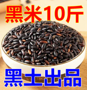 10斤黑米新黑米色选东北农家自产黑米稻花香黑米粥商用黑大米