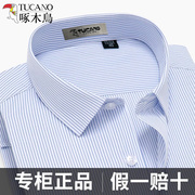 啄木鸟蓝色条纹衬衫男士长袖，短袖夏季商务正装，职业中青年棉白衬衣