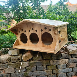 室外实木制鸽子窝超大鸽巢箱鹦鹉，繁殖孵化箱配对木屋可定制