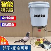 自动喂食机鸡自动喂鸡器定时喂食喂鸡自动投料机自动投食器鸡食槽
