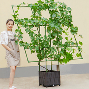 阳台葡萄架种植箱架庭院室外植物攀爬架子蔬菜月季牵引专用爬藤架